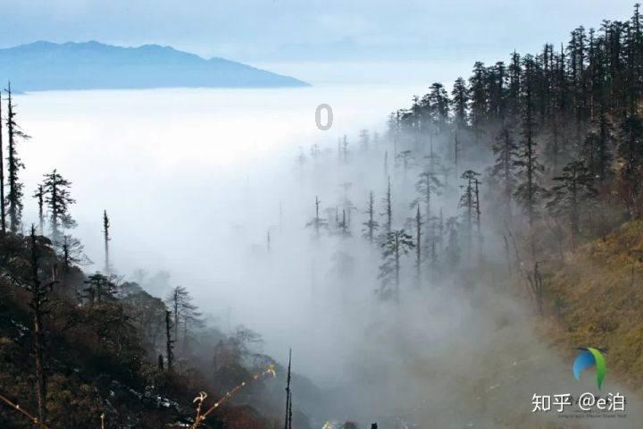 楼宇自控系统集数据采集、传输、处理与管控于一体,提升管理效率