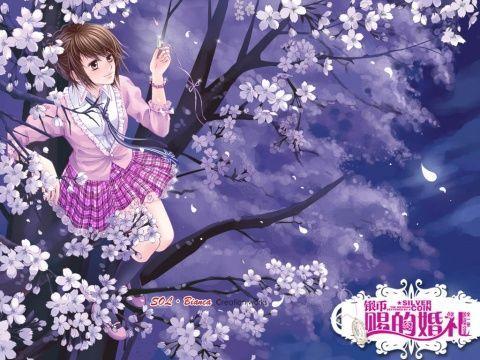 春雨直播app
