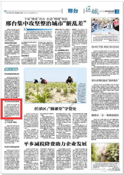 异闻录之玉磐心