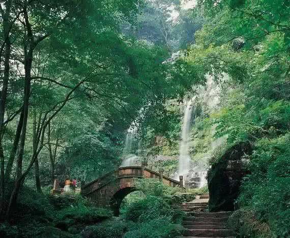 上海胜福建!王哲林蜕变,血布盘活全队,刘铮+添荣+替补2将稳健