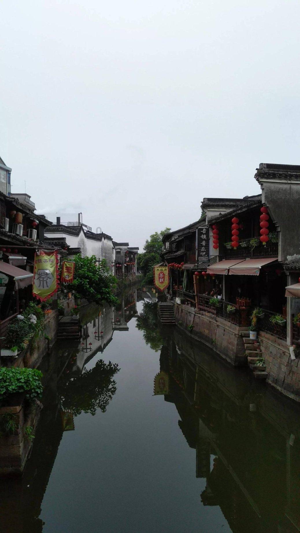 救援受困的小恐龙
